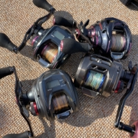 レンタルリール